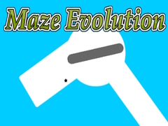 Žaidimas Maze Evolution
