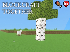 Žaidimas BlockCraft Together
