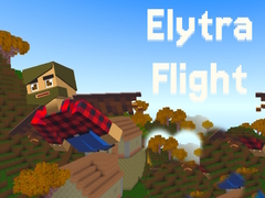 Žaidimas Elytra Flight