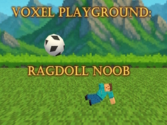 Žaidimas Voxel Playground: Ragdoll Noob