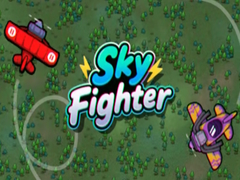 Žaidimas Sky Fighter
