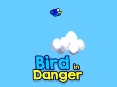 Žaidimas Bird in Danger