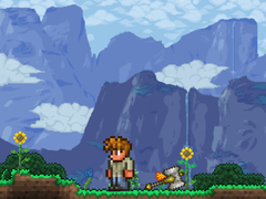 Žaidimas Terraria Playground