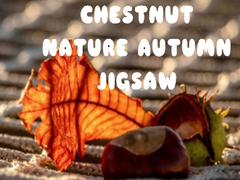 Žaidimas Chestnut Nature Autumn Jigsaw