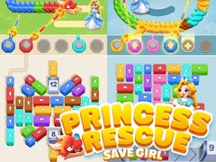 Žaidimas Princess Rescue: Save Girl