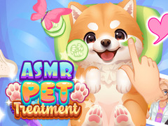 Žaidimas ASMR Pet Treatment