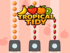 Žaidimas Tropical Tidy