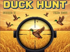 Žaidimas Duck Hunt