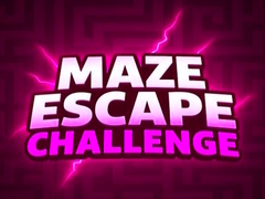 Žaidimas Maze Escape Challenge