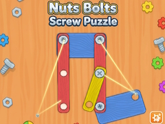 Žaidimas Nuts Bolts Screw Puzzle