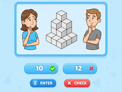 Žaidimas Try To Count The Boxes