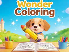 Žaidimas Wonder Coloring