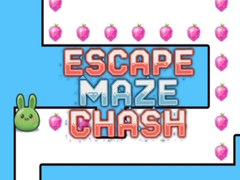 Žaidimas Escape Maze Chush
