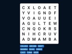 Žaidimas Word Search Word Puzzle