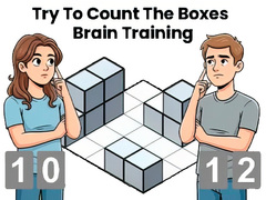 Žaidimas Try To Count The Boxes Brain Training