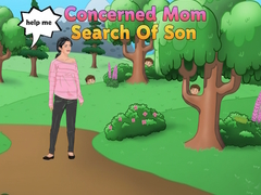 Žaidimas Concerned Mom Search Of Son