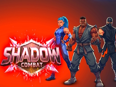 Žaidimas Shadow Combat