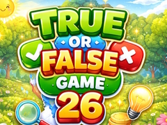 Žaidimas True or False Game 26