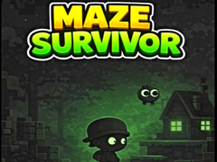 Žaidimas Maze Survivor 