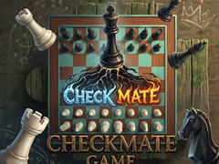 Žaidimas Checkmate Game