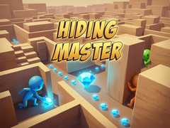 Žaidimas Hiding Master