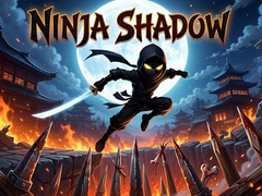 Žaidimas Ninja Shadow