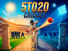 Žaidimas 5TO20 Cricket