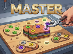 Žaidimas Master