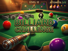 Žaidimas Billiard Challenge