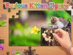 Žaidimas Curious Kitten Jigsaw