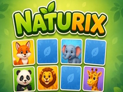 Žaidimas Naturix