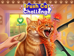 Žaidimas Brush Cat Challenge 