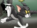 Žaidimas Tom And Jerry Chase In Marsh