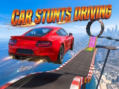 Žaidimas Car Stunts Driving