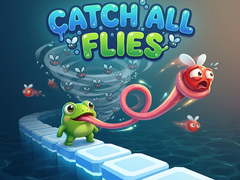 Žaidimas Catch All Flies