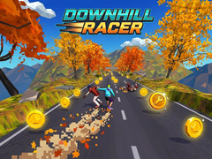 Žaidimas Downhill Racer