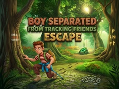 Žaidimas Boy Separated from Tracking Friends