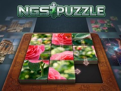 Žaidimas NGS Puzzle