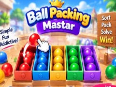 Žaidimas Packing Master Puzzle