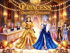Žaidimas Princess Dress Up Challenge