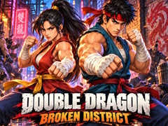 Žaidimas Double Dragon Broken District