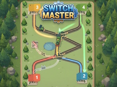 Žaidimas Switch Master