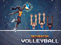 Žaidimas Netherton Volleyball