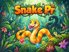 Žaidimas Snake Pr