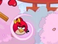 Žaidimas Angry Birds Lover