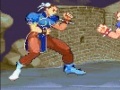 Žaidimas Street Fighter World Warrior