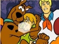 Žaidimas Scooby-Doo The Picutr
