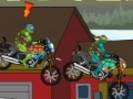 Žaidimas Turtles racing