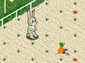 Žaidimas Animal 4 Steps