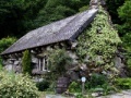 Žaidimas Puzzles: Cottage